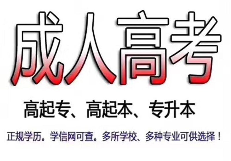 岳阳成人教育新动态：在线学习打开全新生涯