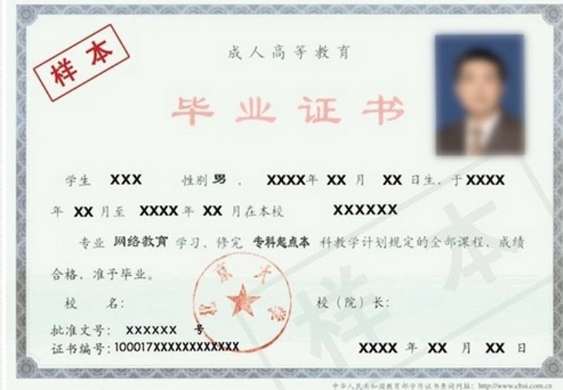专升本培训:开启新高度的学习阶梯